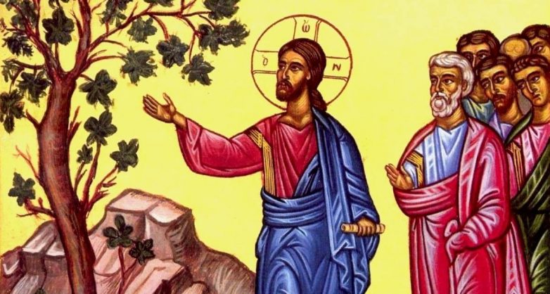 За что Христос осудил бесплодную смоковницу