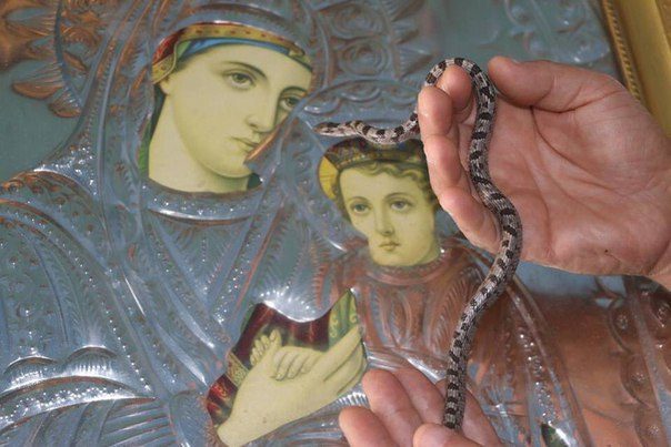Как Богородица управилась со змеями