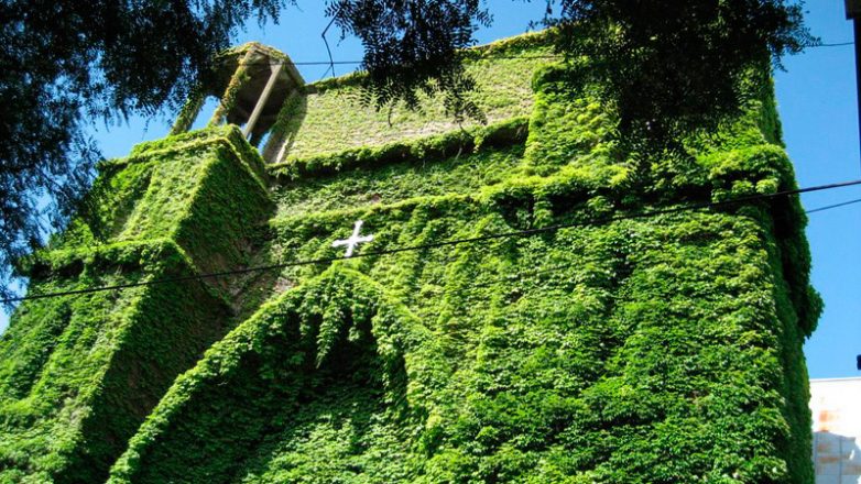 Зелёная церковь в Аргентине