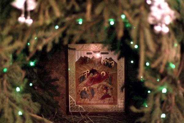 Христос родился: рождественские истории от Елены Кучеренко