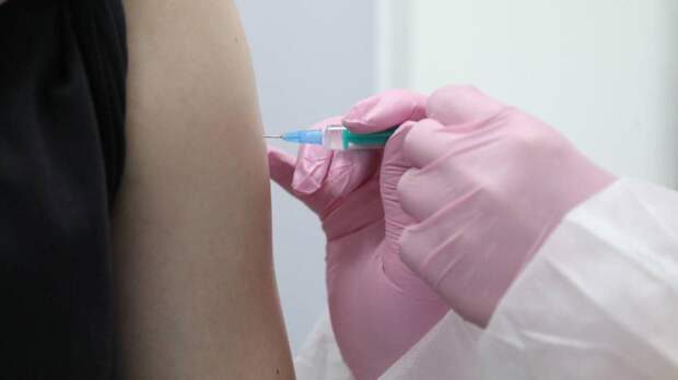 Гинцбург призывает вакцинироваться от коронавируса на праздниках