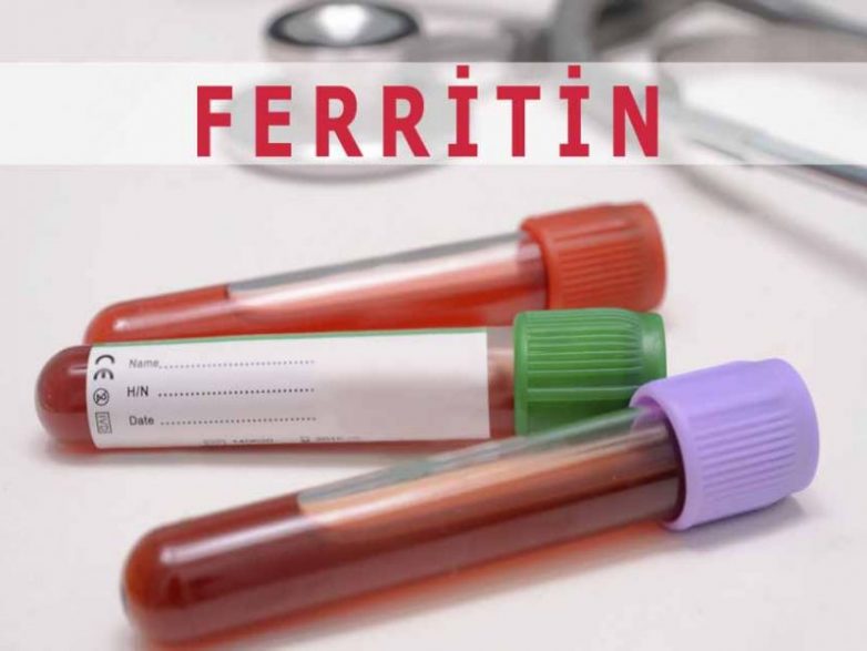 Почему повышается ферритин в крови?