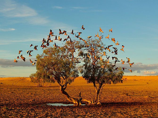Лучшие фотографии National Geographic за октябрь