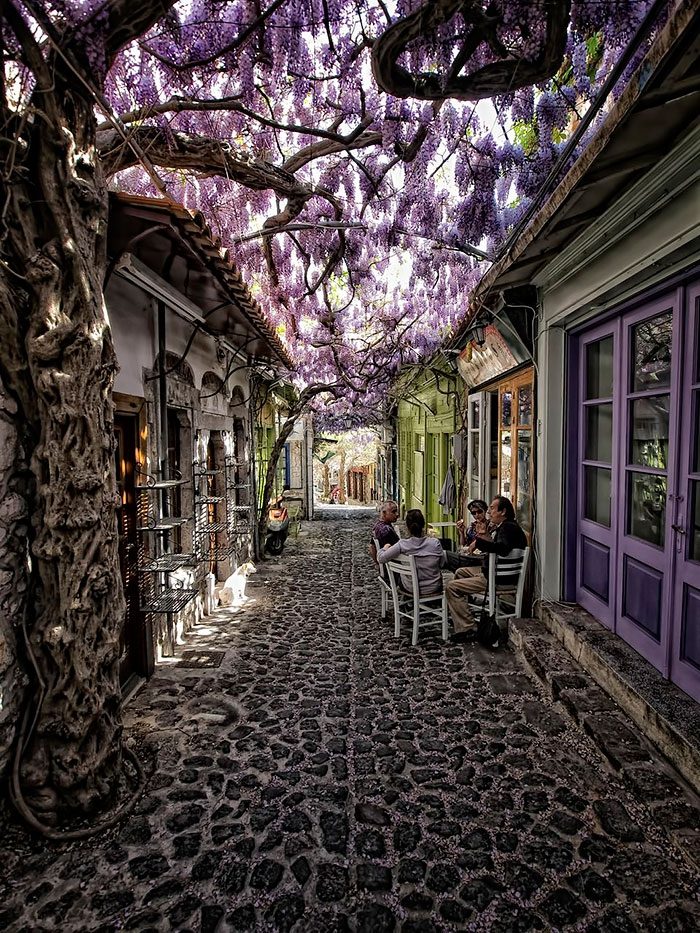 15 самых волшебных улиц в тени цветов и деревьев