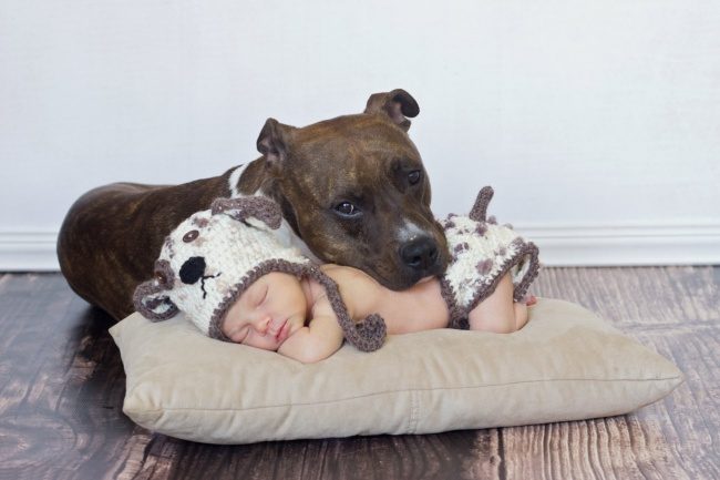 25 доказательств, что детям нужны домашние животные