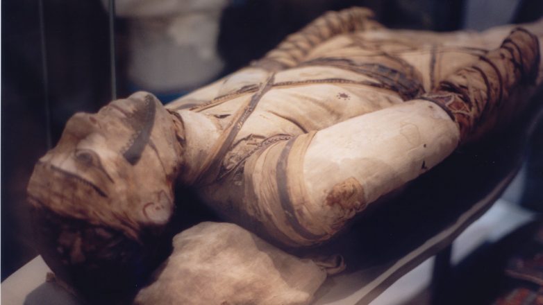 5 археологических находок, изменивших историю