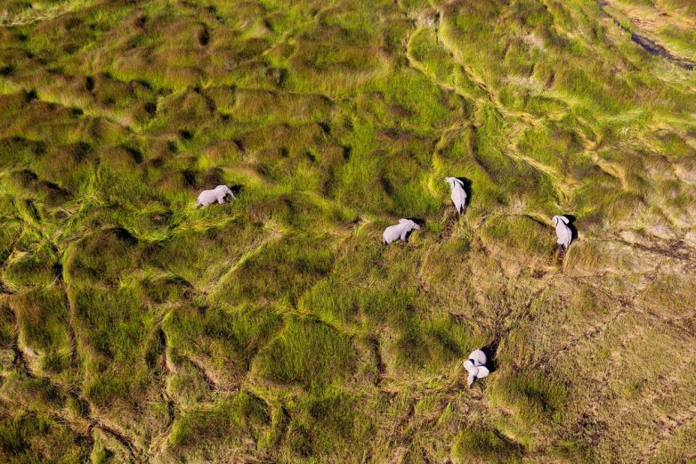 10 потрясающих снимков Земли с высоты птичьего полета