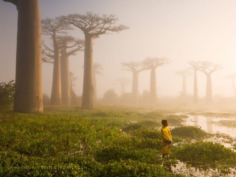 25 лучших снимков National Geographic