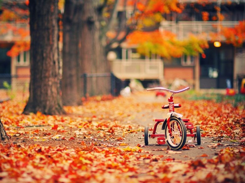 20 снимков, на которых осень фантастически прекрасна