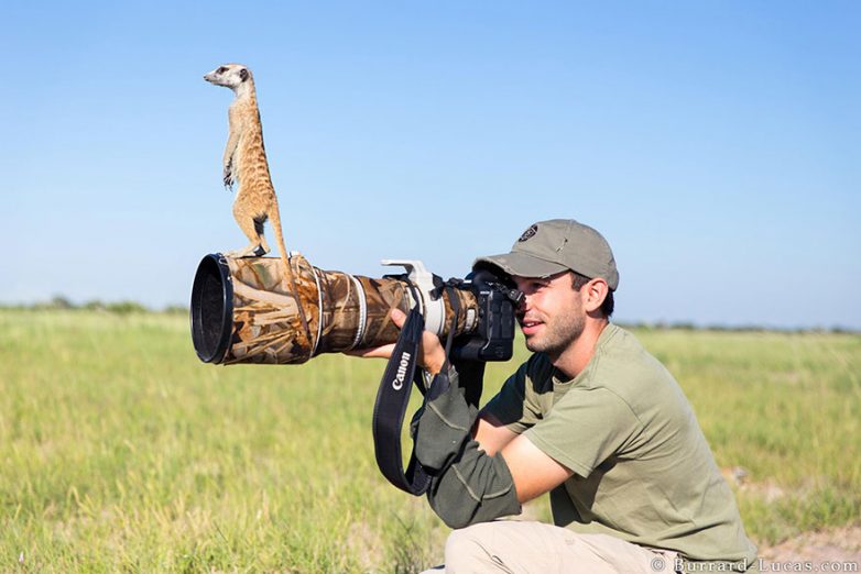 Фотограф дикой природы - лучшая работа в мире
