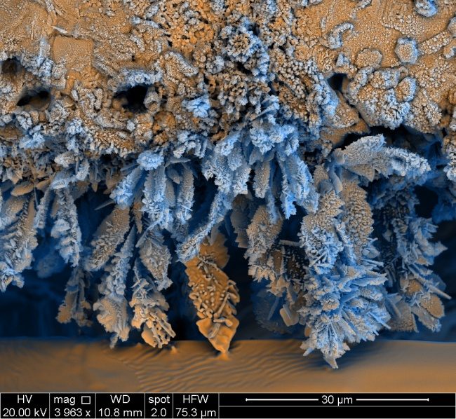 25 фото под микроскопом, доказывающих, что каждая вещь — это вселенная