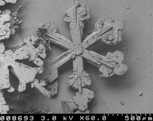Снежинки под микроскопом. Удивительный микромир!