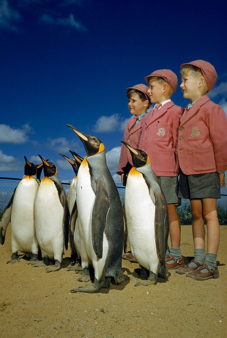 25 неопубликованных снимков из архивов National Geographic. Класс!
