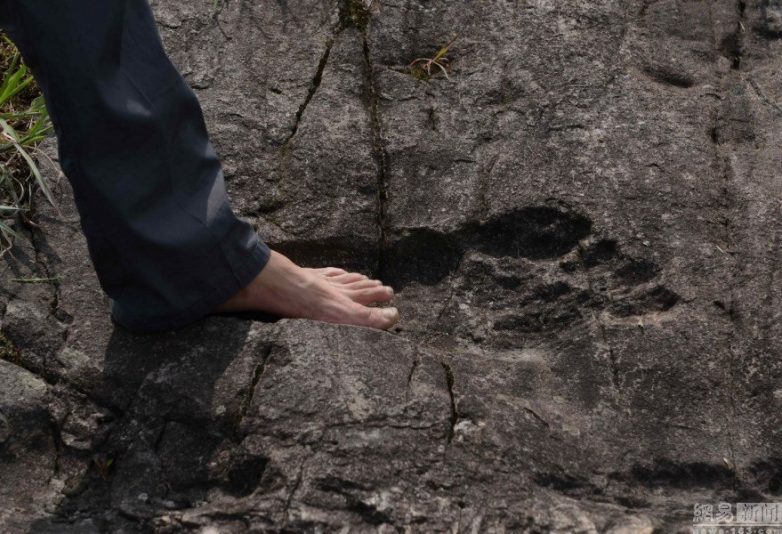 В Китае нашли следы гигантского гуманоида