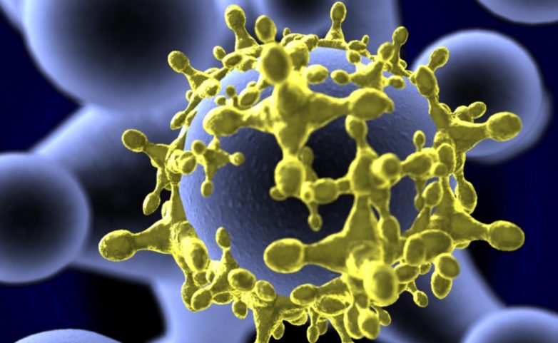 Самые опасные вирусы, о которых знает наука