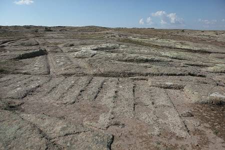 Возраст этих окаменевших следов древних «вездеходов» - 12.000.000 лет. Как это возможно?