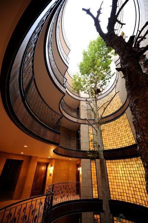 Когда дерево вписалось в дизайн дома