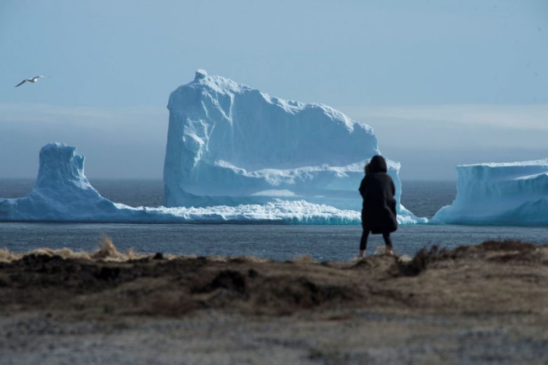 К берегам Канады приплыл огромный айсберг. Удивительное зрелище!