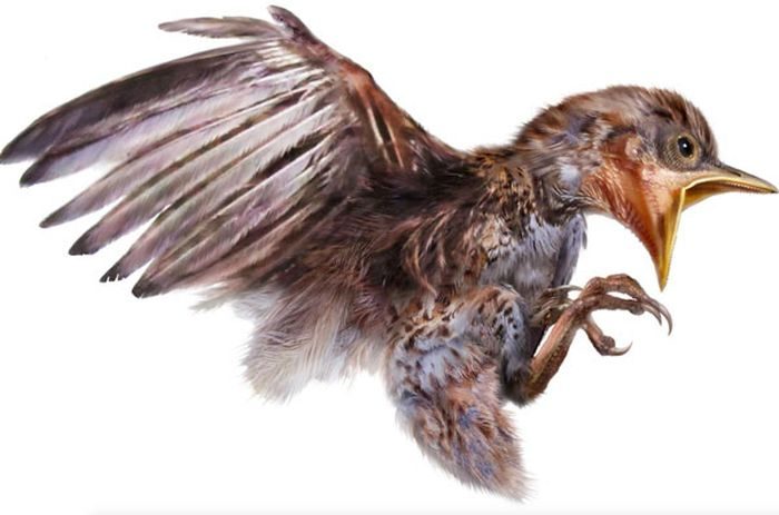 В этом янтаре обнаружили птицу, жившую 99.000.000 лет назад. Удивительное зрелище!