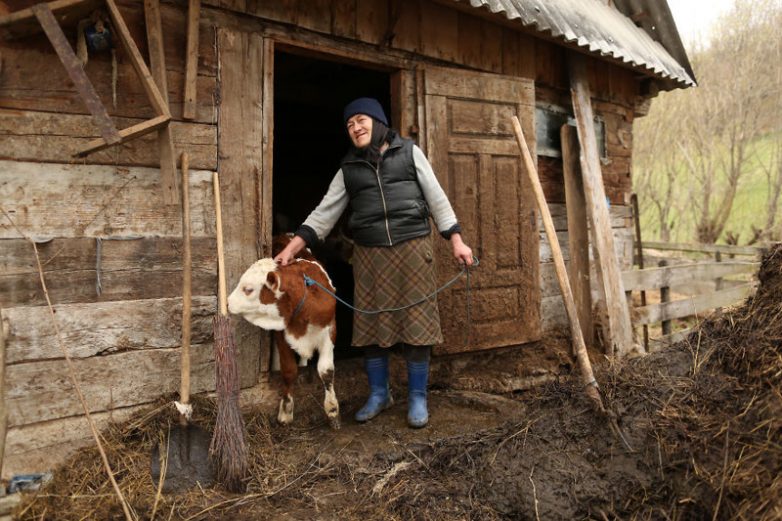 Румынская деревня, утопающая в промышленных отходах