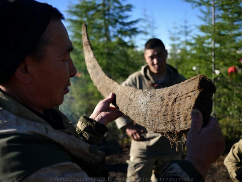 История о сибирских охотниках на мамонтовые бивни. Как они богатеют, спиваются и умирают.