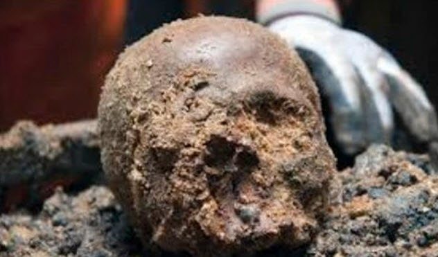 Эти черепа открыли неизвестные тайны давно забытых цивилизаций