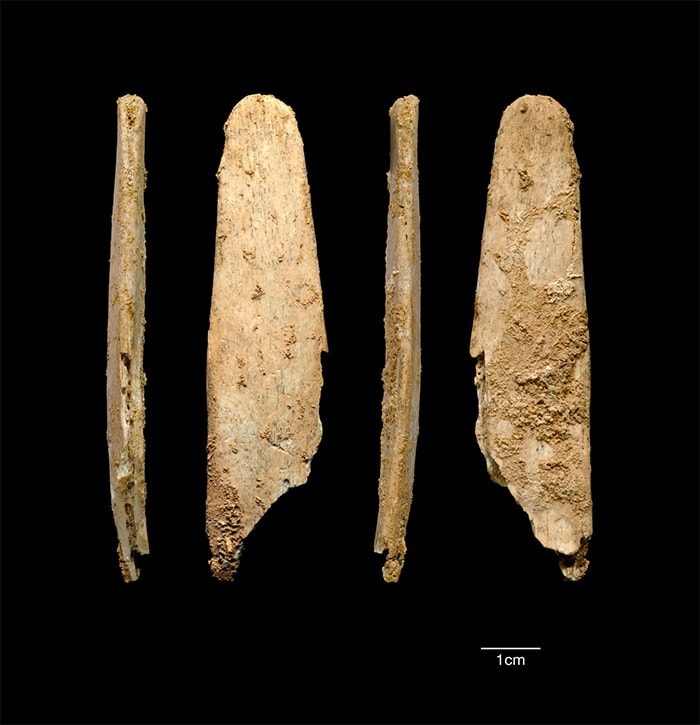 Этому инструменту 50.000 лет, но он используется до сих пор!
