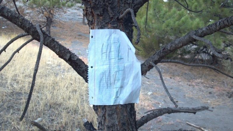 Вот такие таинственные находки можно найти в лесу