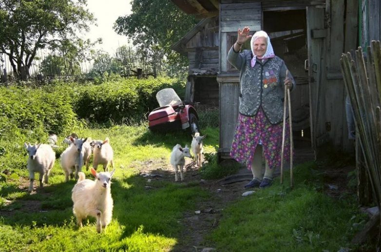 Как же хорошо у бабушки в деревне