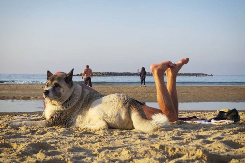 18 забавных пляжных снимков, которые доказывают, что лето открывает портал для всего самого интересного
