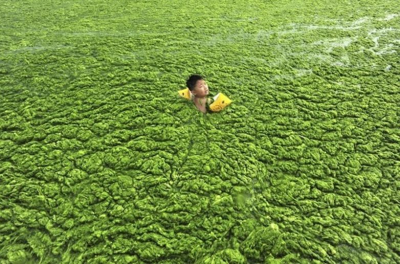 Эти фото доказывают, что загрязнение окружающей среды в Китае - это уже катастрофа