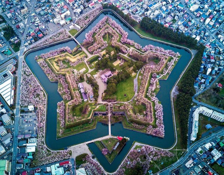 16 крутых и странноватых снимков из Японии, доказывающих, что это страна не похожа ни на одну другую