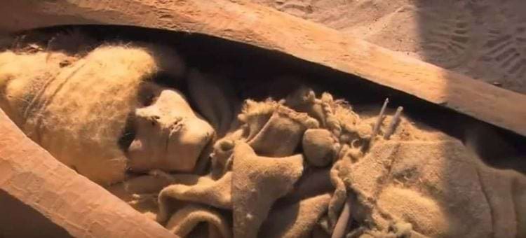 12 древних продуктов, найденных археологами, которые сейчас очень опасно есть