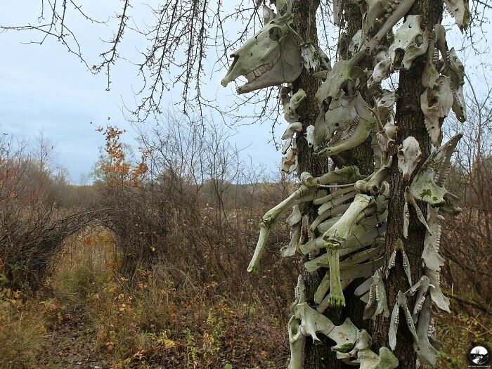 Реальные места, которые выглядят как фантазия искусственного интеллекта