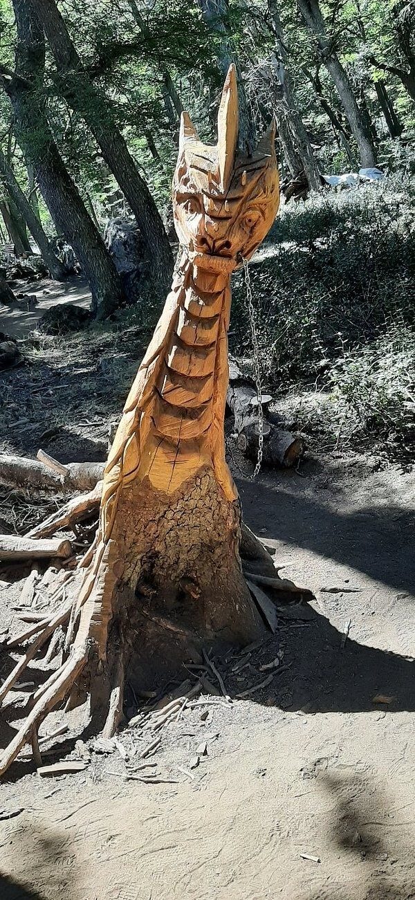 Лес скульптур, вдохнувших новую жизнь в мёртвые деревья