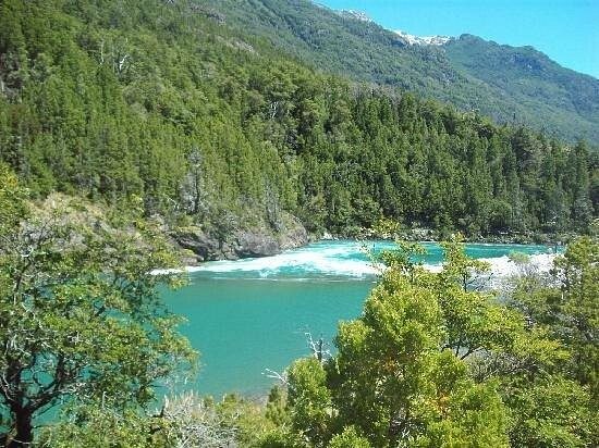 Лес скульптур, вдохнувших новую жизнь в мёртвые деревья