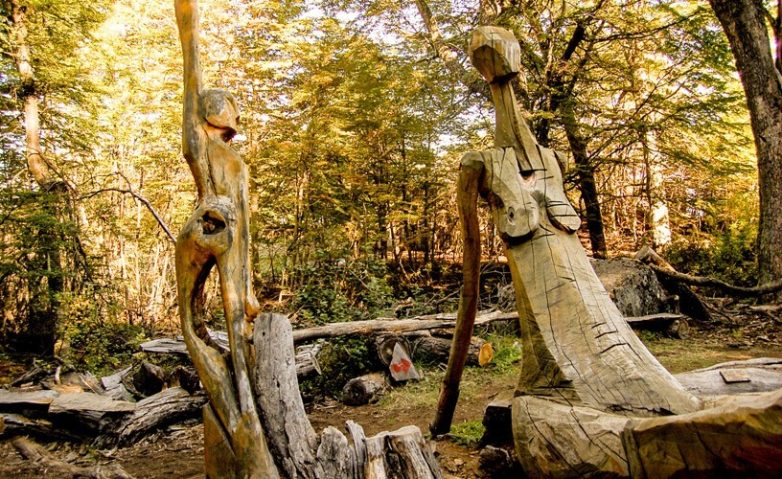Лес скульптур, вдохнувших новую жизнь в мёртвые деревья