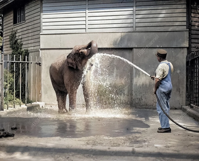 Исторические шедевры. Потрясно!