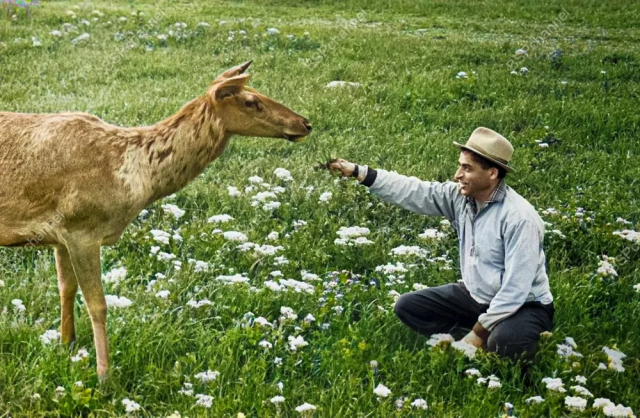 Исторические шедевры. Потрясно!