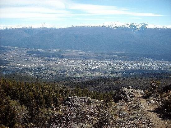 Лес скульптур, вдохнувших новую жизнь в мёртвые деревья