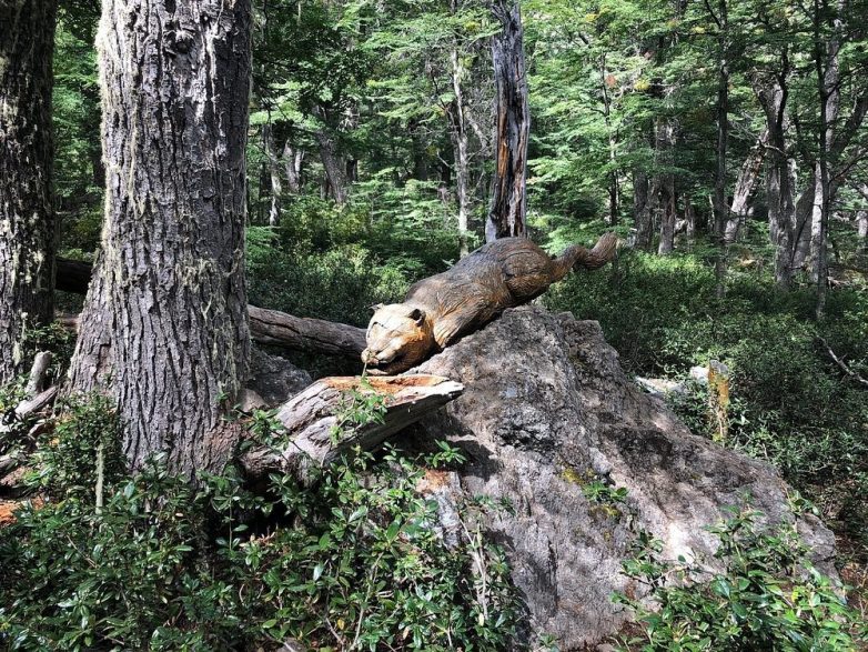 Лес скульптур, вдохнувших новую жизнь в мёртвые деревья