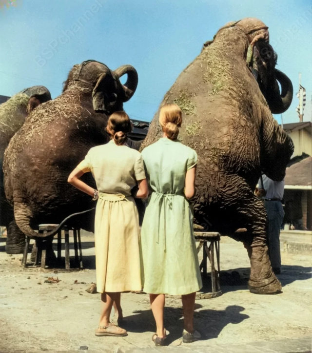 Исторические шедевры. Потрясно!