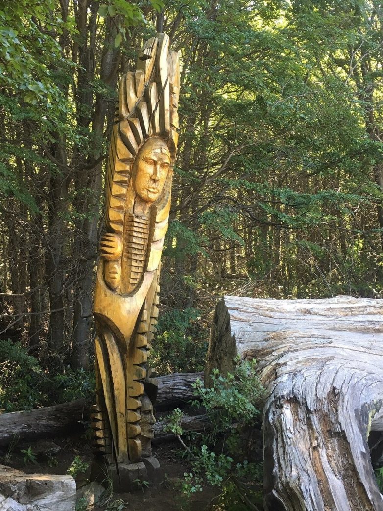 Лес скульптур, вдохнувших новую жизнь в мёртвые деревья