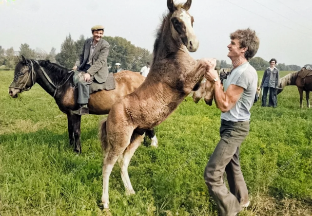 Исторические шедевры. Потрясно!