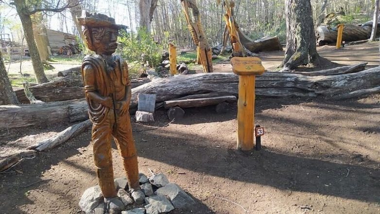 Лес скульптур, вдохнувших новую жизнь в мёртвые деревья