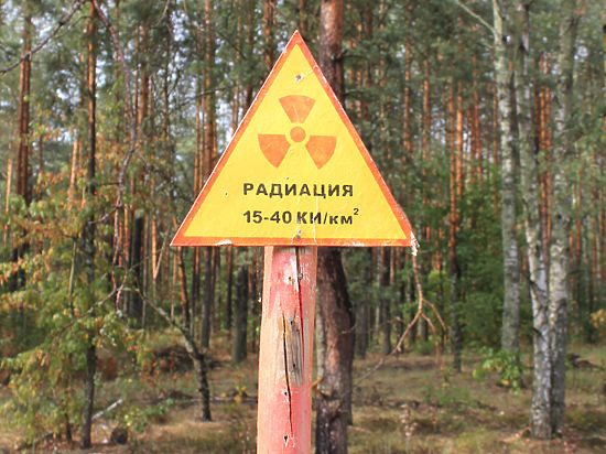 Чернобыль сокращать нельзя!