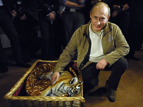 Убит путинский тигренок