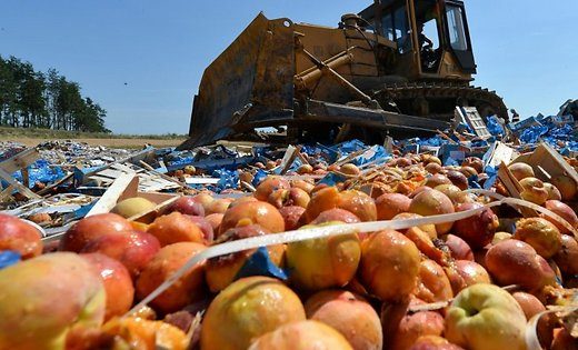 Россельхознадзор уничтожил 9000 тонн санкционной еды