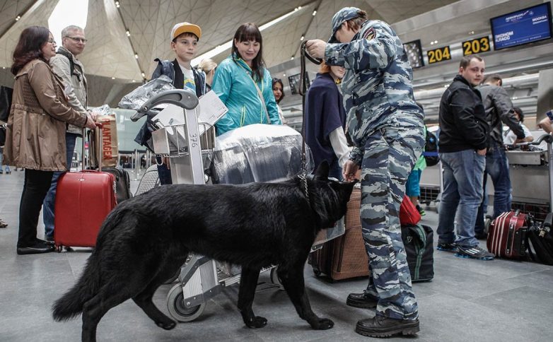 5 российских аэропортов эвакуировали из-за ложных звонков о минировании
