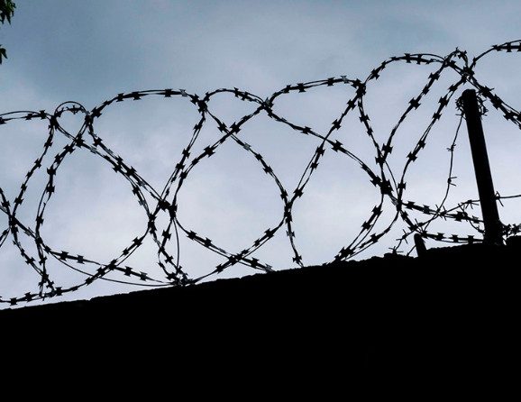 Петицию с требованием наказать виновных в пытках заключенных в ярославской ИК-1 подписали уже около 60 000 человек